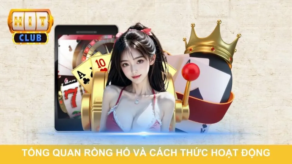 Tổng quan rồng hổ và cách thức hoạt động